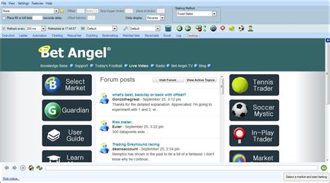 bet angel user guide